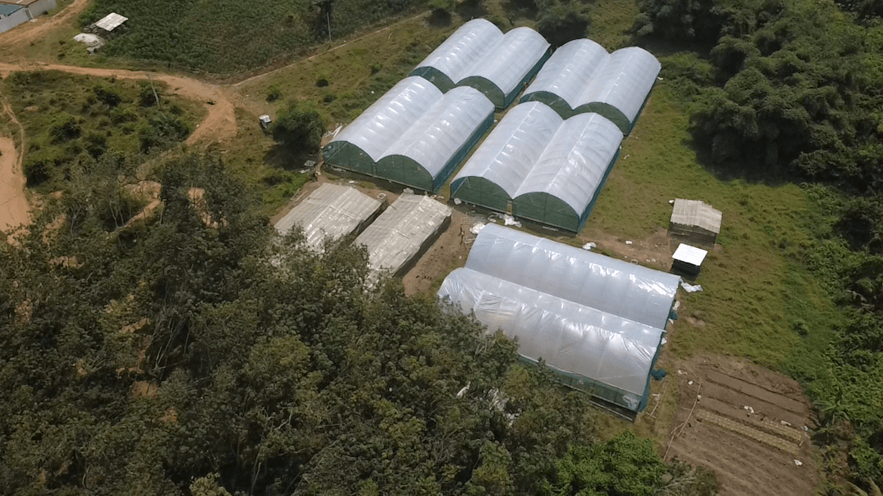 Songon — 5 serres de 500 m²